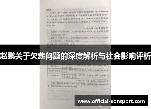 赵鹏关于欠薪问题的深度解析与社会影响评析