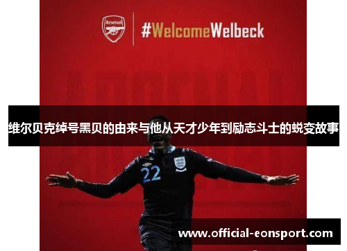 维尔贝克绰号黑贝的由来与他从天才少年到励志斗士的蜕变故事